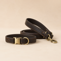 The Collar